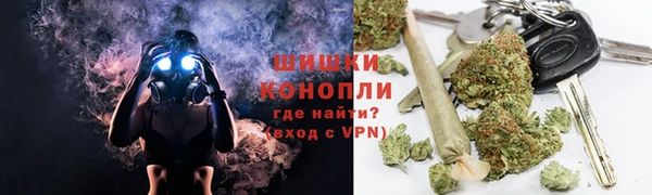 ПСИЛОЦИБИНОВЫЕ ГРИБЫ Баксан