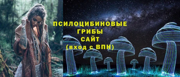ПСИЛОЦИБИНОВЫЕ ГРИБЫ Баксан
